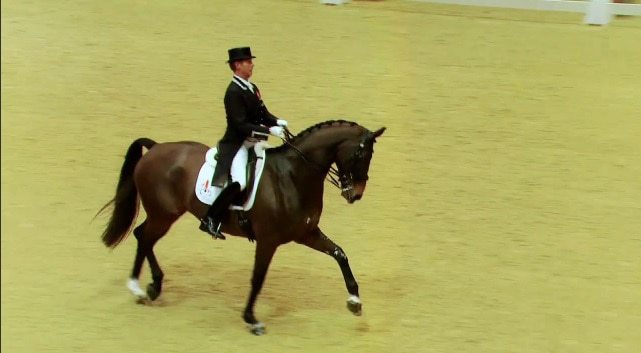 Olympic powerhouses – Carl Hester and Isabell Werth