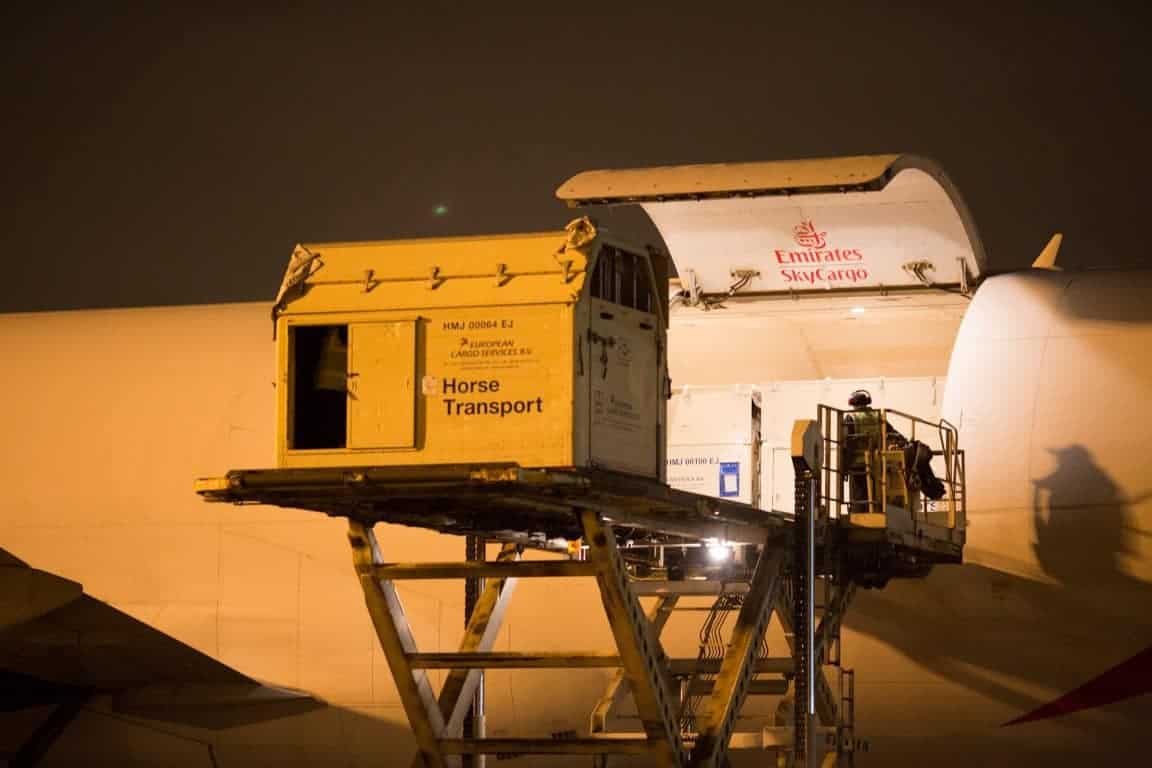 Travelling in style – how the horses got to Rio