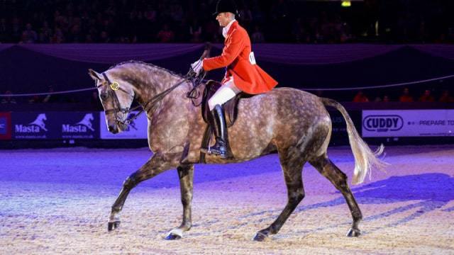 Four-year-old takes HOYS Search for Star title