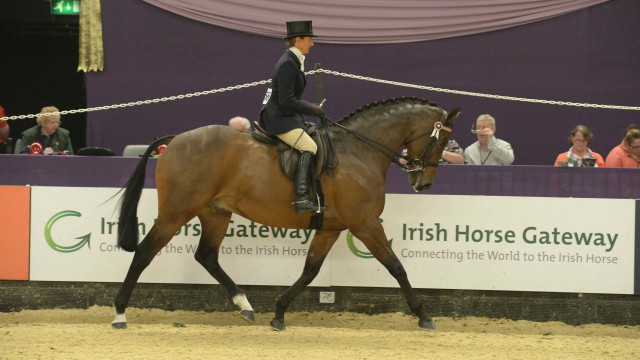 Broadshard Simplicity Supreme for second year