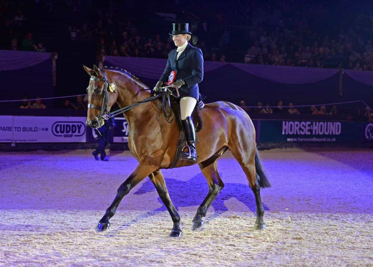 seibs search for a star at HOYS
