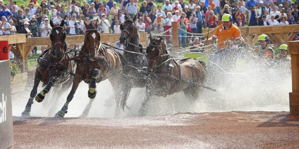 Alltech FEI World Equestrian Games 2014