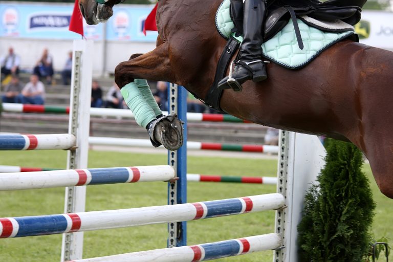 Showjumping for beginners: How to get into the sport