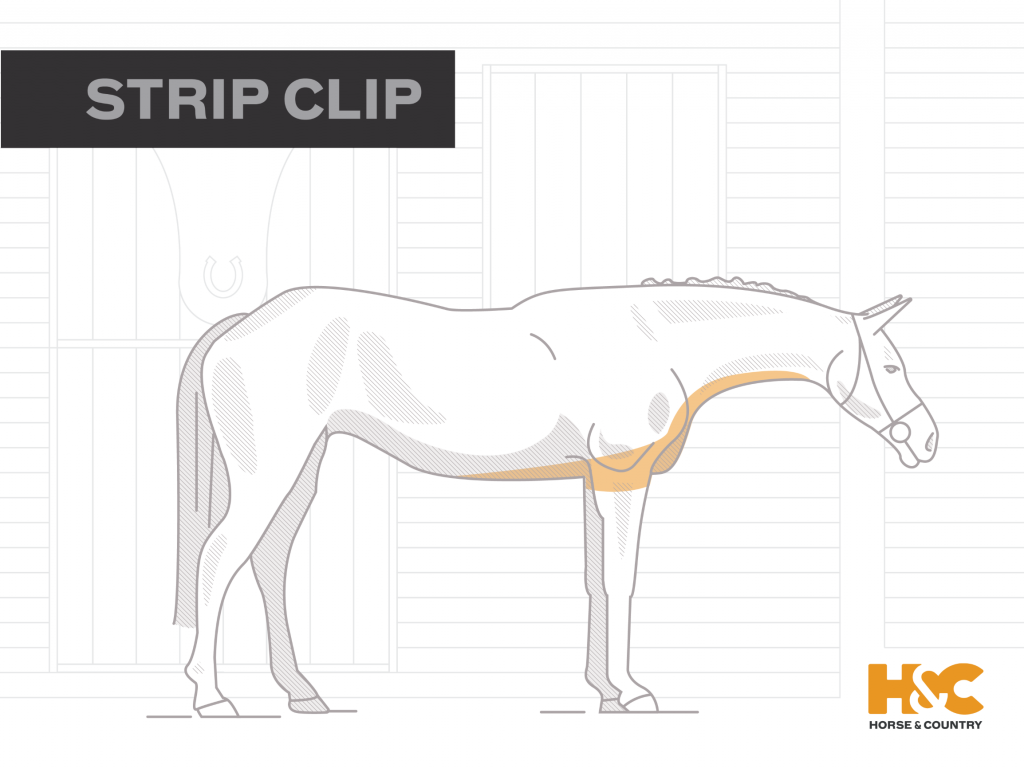 Horse Clipping Guide Types of Clip & How to Use Them — free download