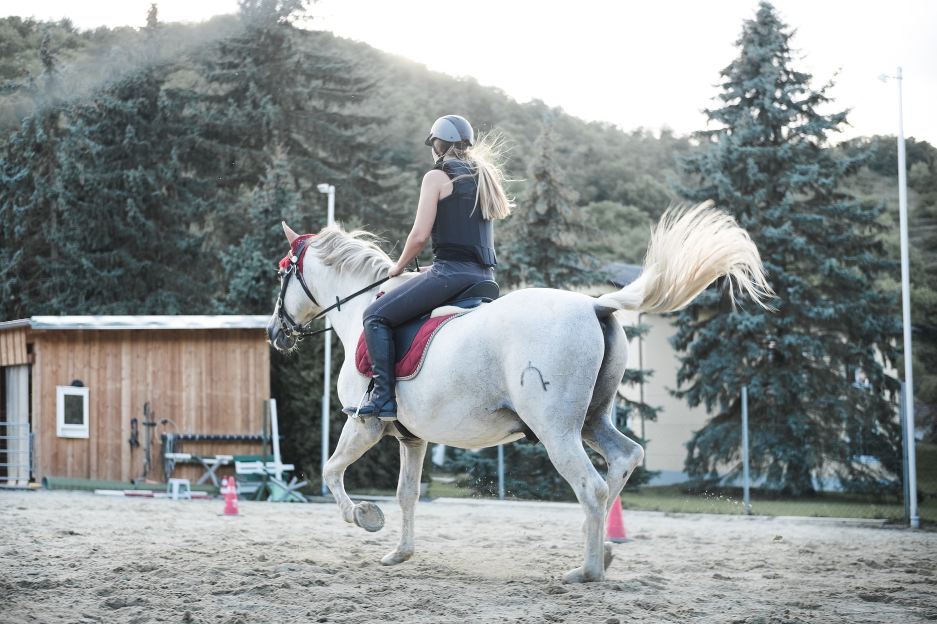 What size horse do I need? A New Rider’s Guide
