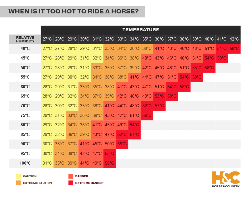 Summer horse care How to protect your horse in hot weather