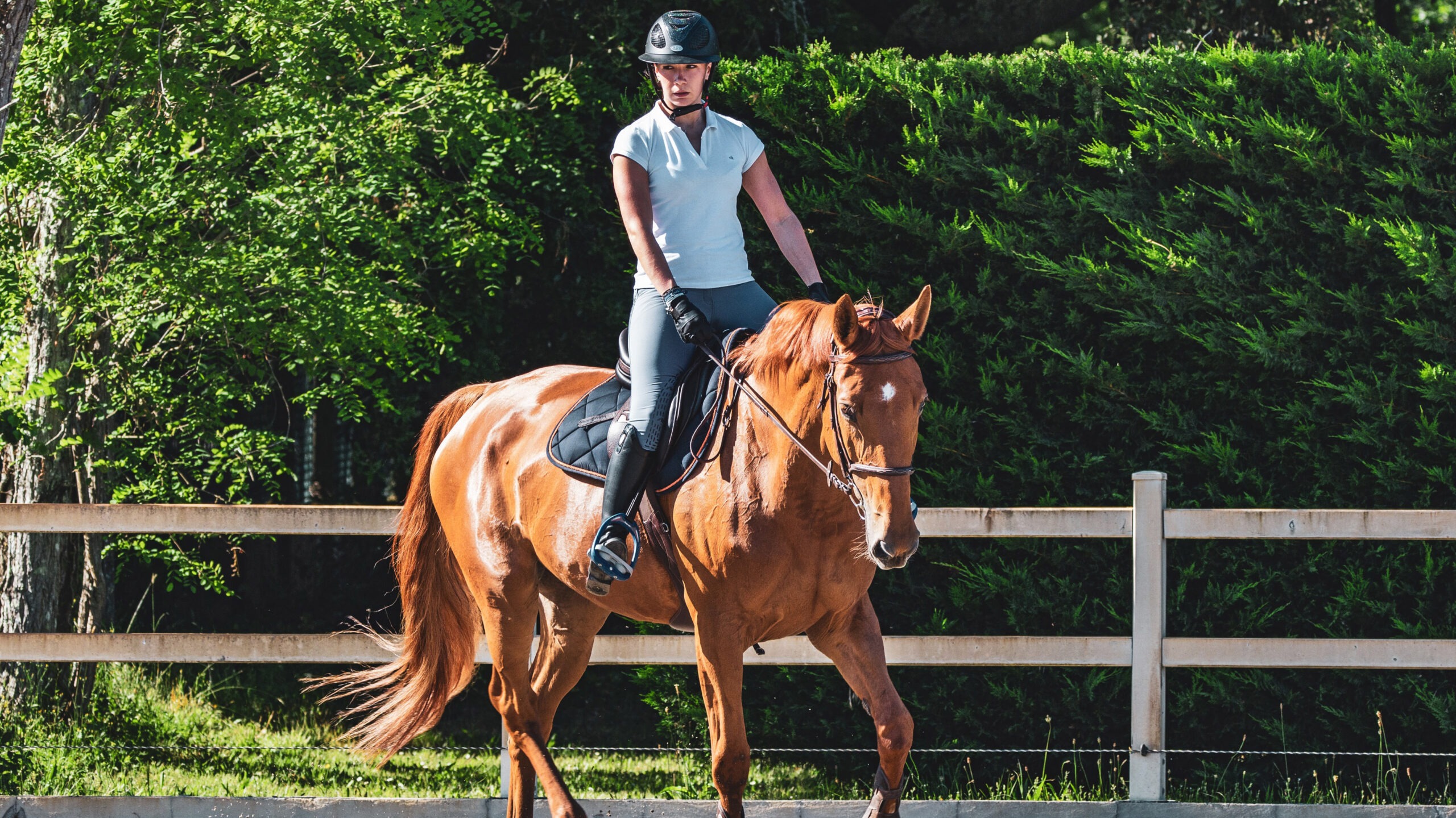 Introduction to horse riding A beginner’s guide to getting started