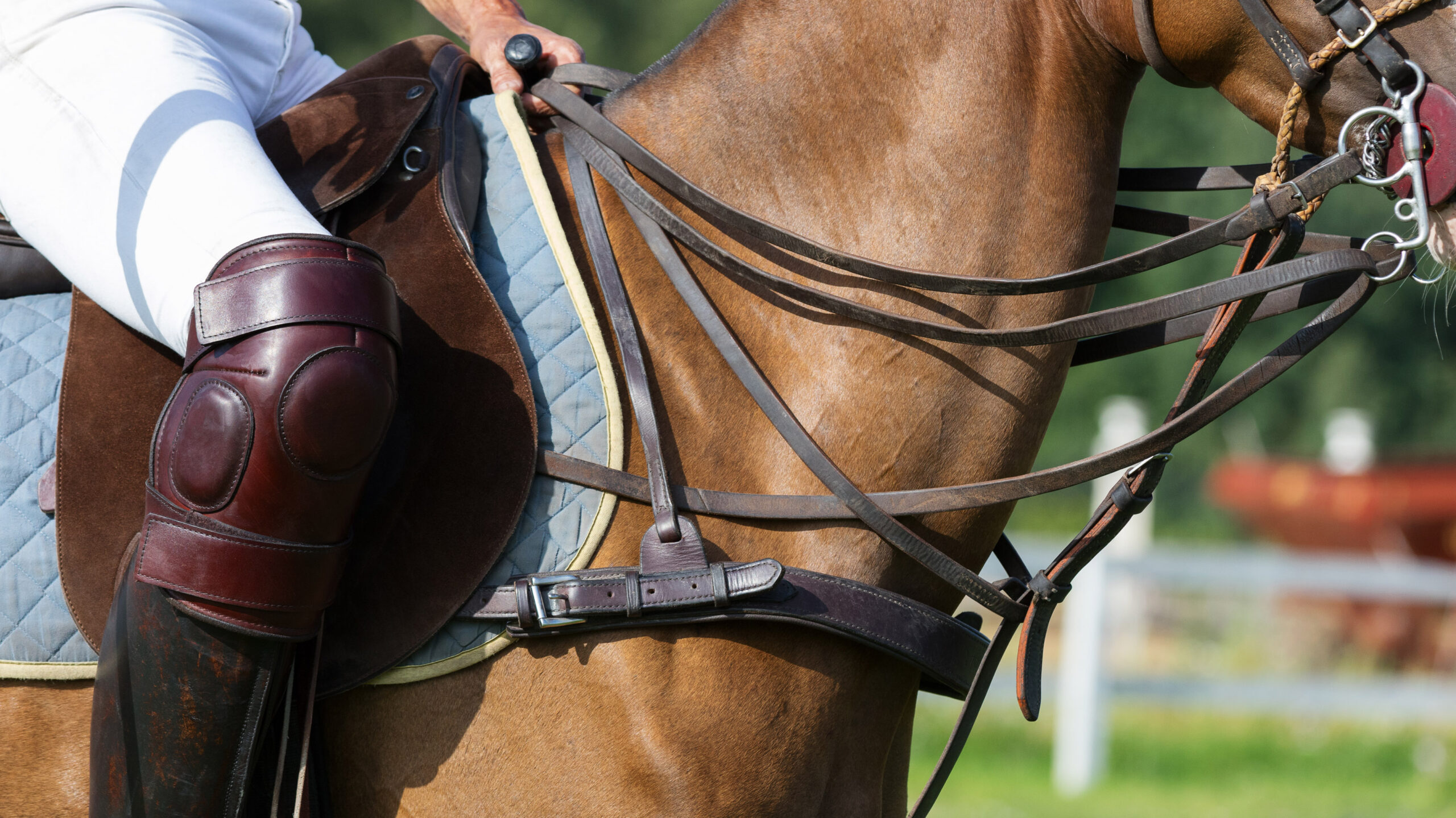 English riding clearance saddle