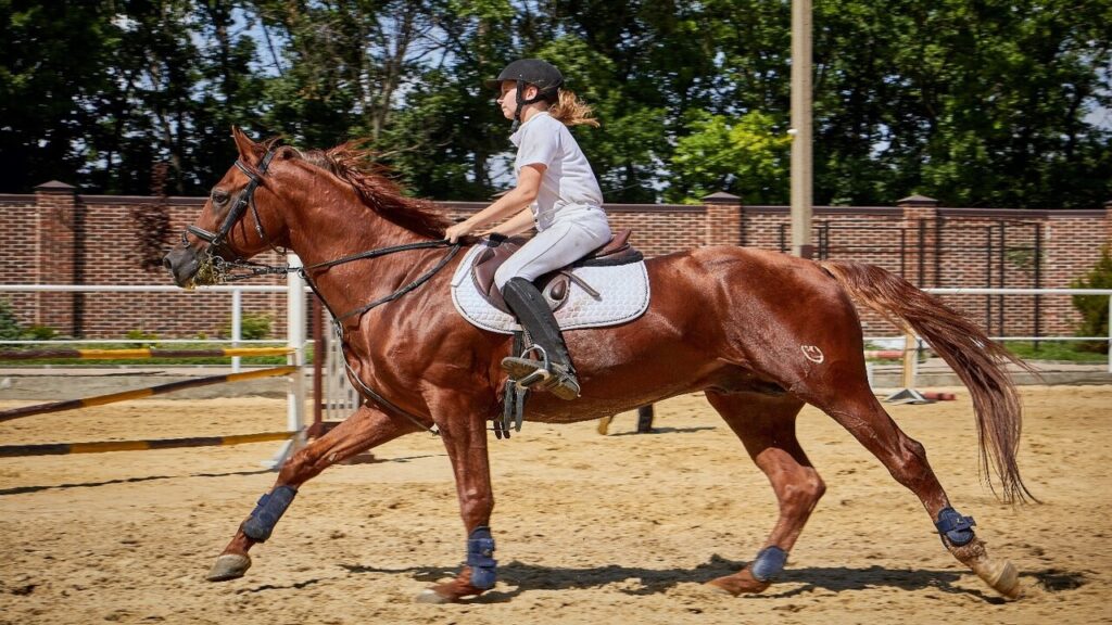 Riding position: How to correct your horse riding position and posture