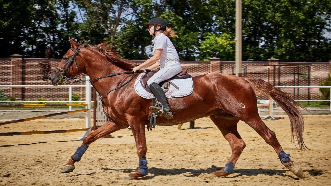 Riding position How to correct your horse riding position and posture