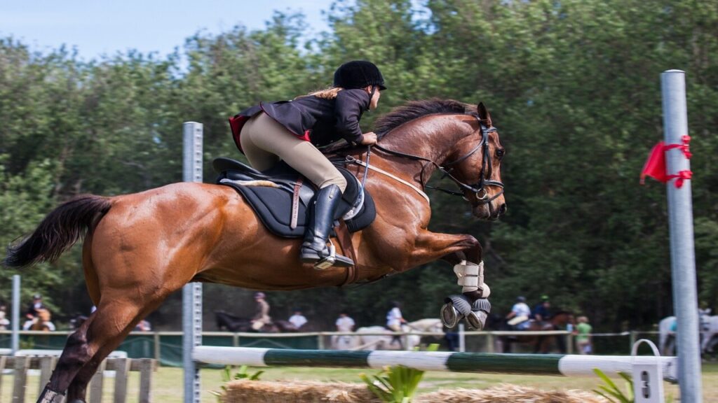 Riding position: How to correct your horse riding position and posture