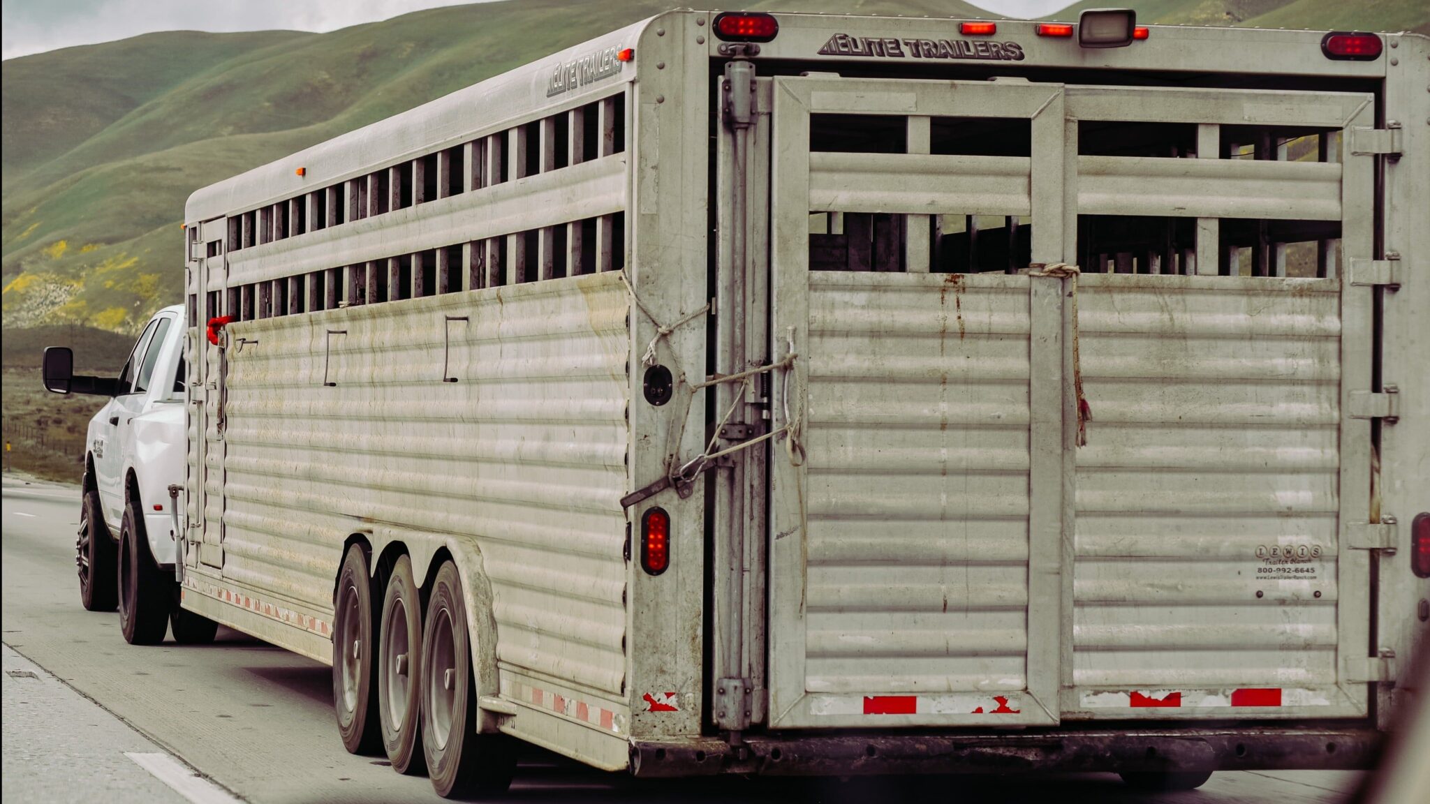 Horse trailering weights explained Towing a horse trailer safely and