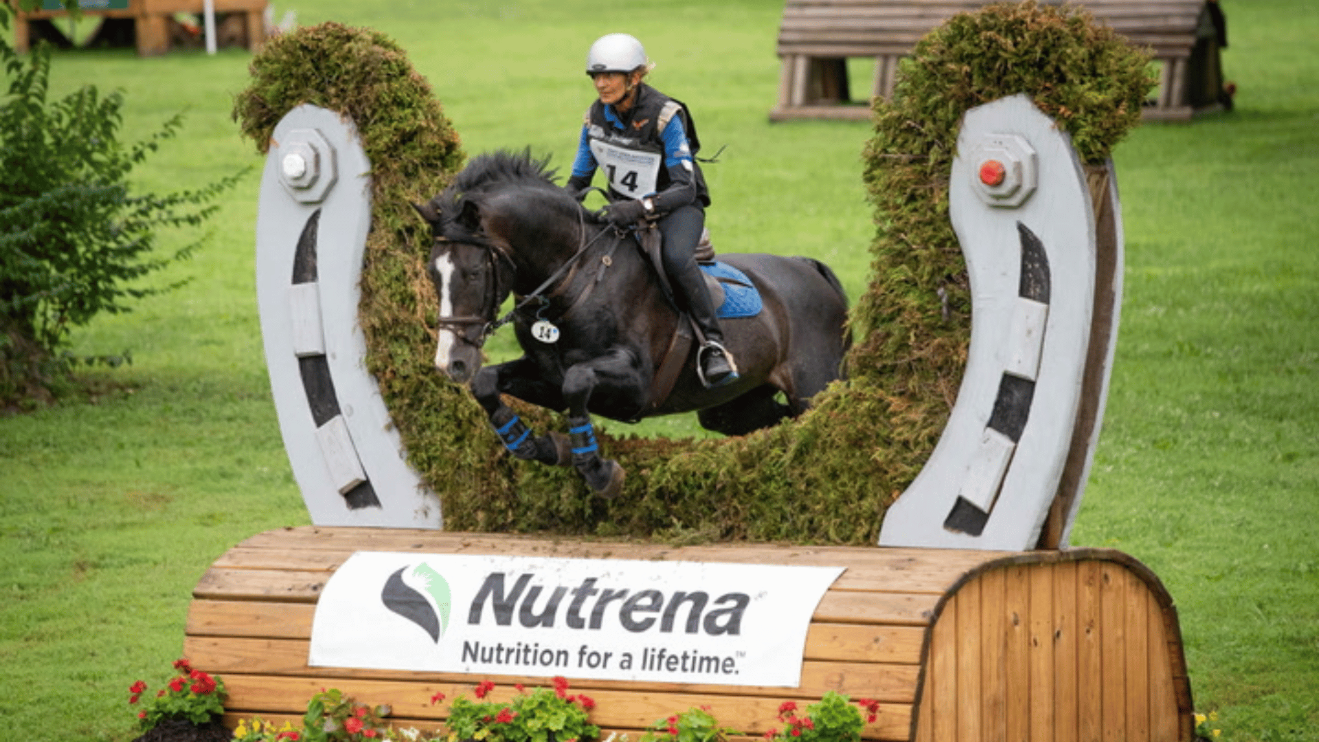 How to watch the 2026 USEA American Eventing Championships on Horse & Country