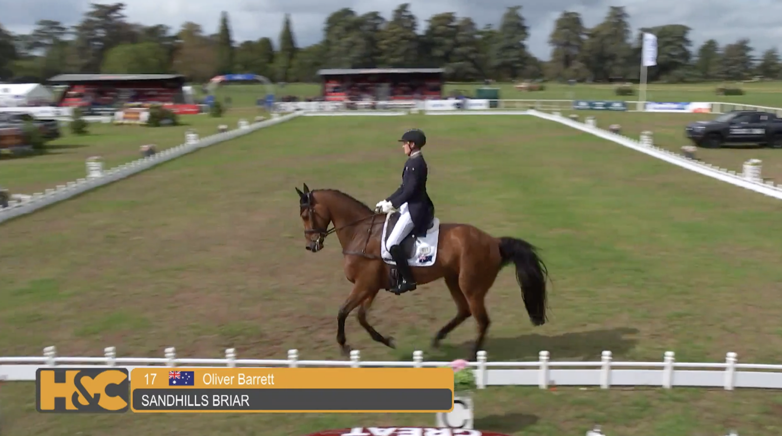 Adelaide champions set the pace on opening day of Blenheim dressage
