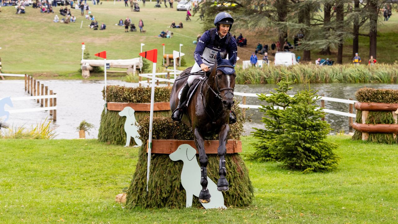 McEwen holds the top two spots as the clock rules at Blenheim